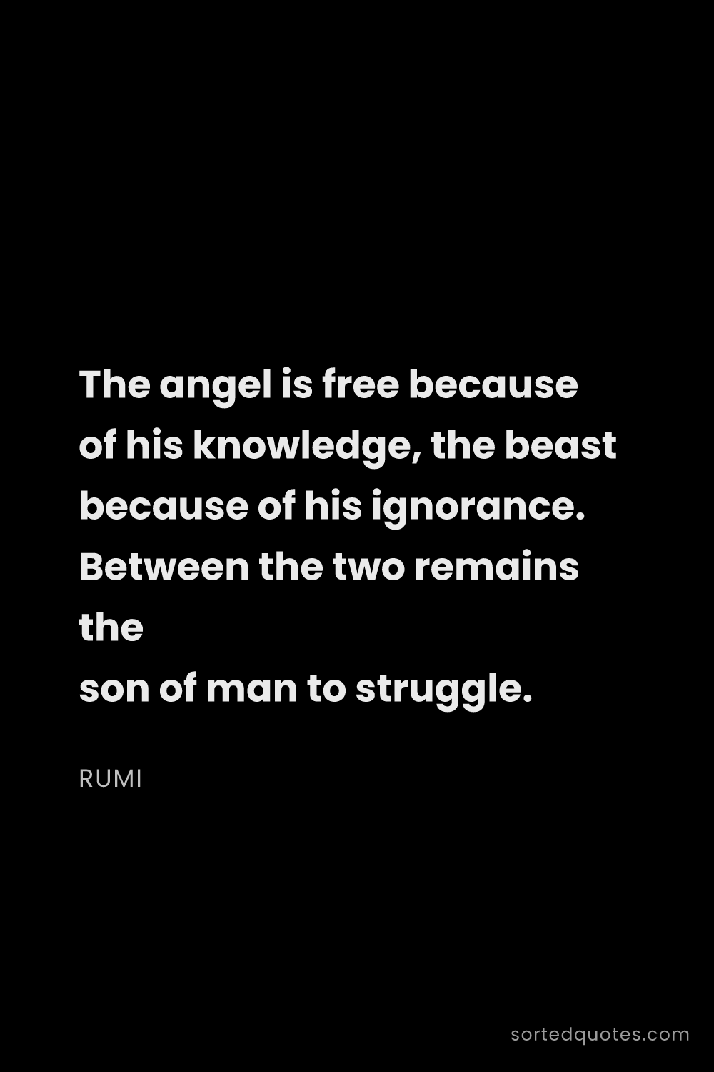 Quote by Rumi: "The angel is free because of his knowledge, the be..."