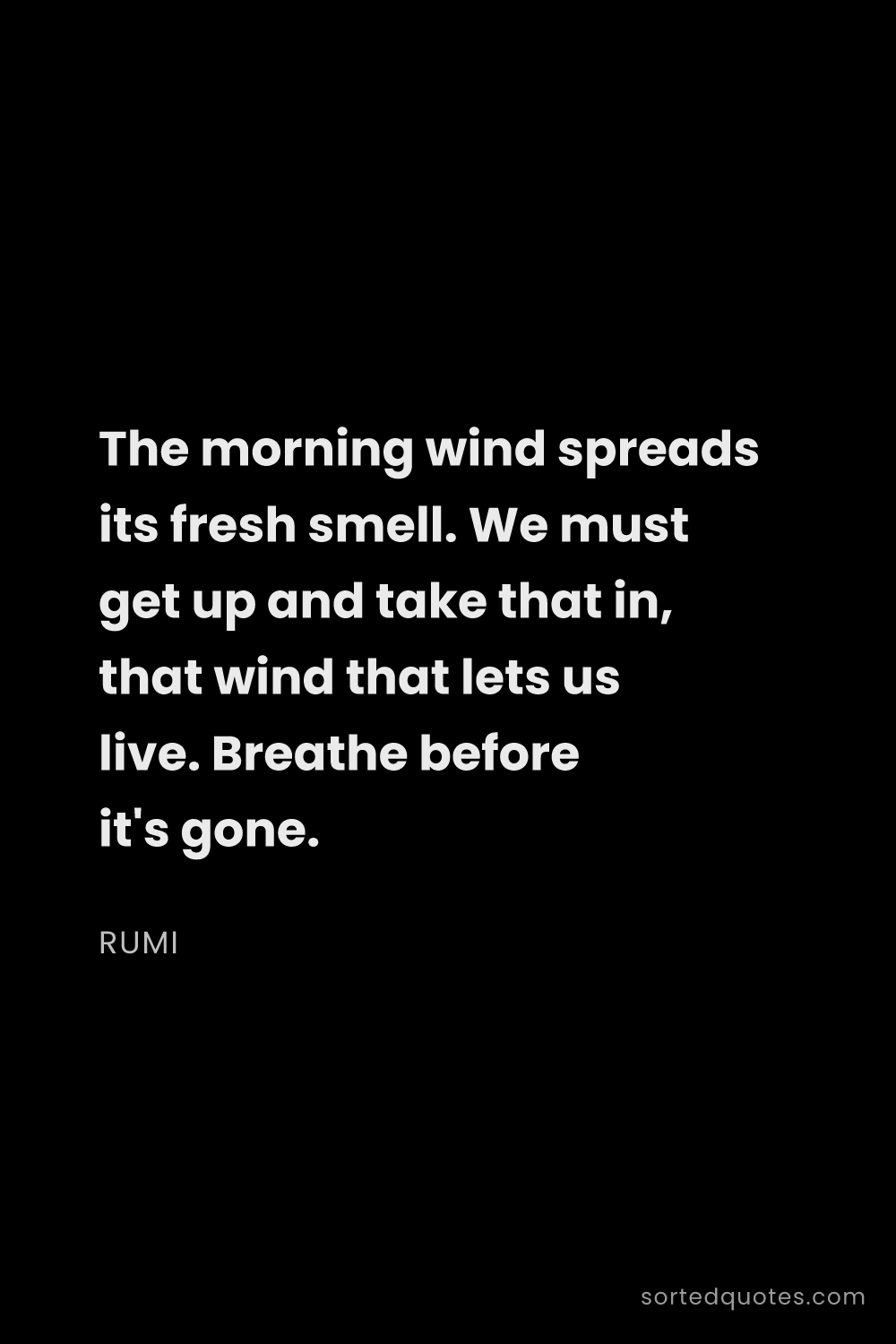 Quote by Rumi: "The morning wind spreads its fresh smell. We must ..."