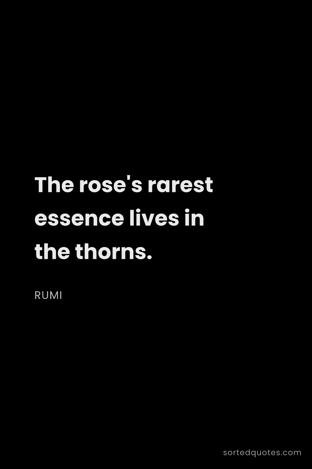 Quote by Rumi: "The rose's rarest essence lives in the thorns...."