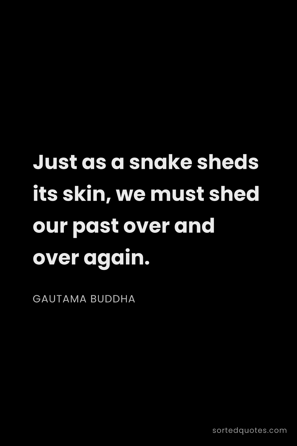 Quote by Gautama Buddha: "Just as a snake sheds its skin, we must shed our p..."