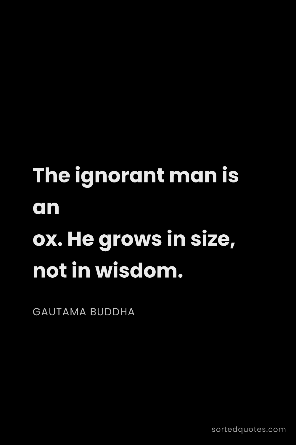 Quote by Gautama Buddha: "The ignorant man is an ox. He grows in size, not i..."