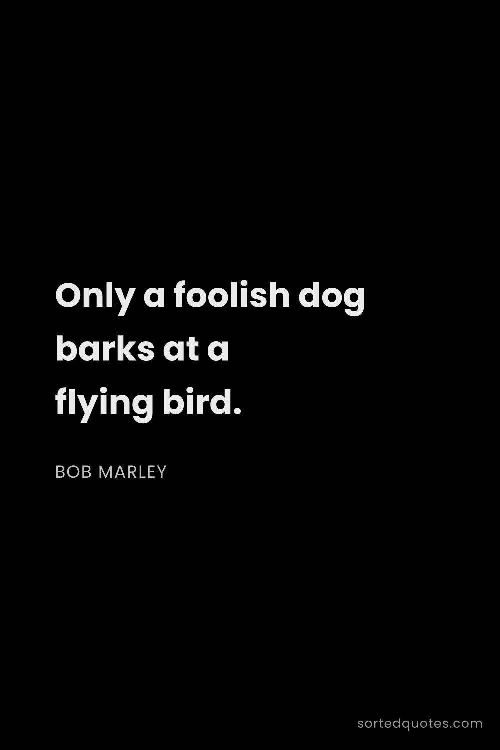 Quote by Bob Marley: "Only a foolish dog barks at a flying bird...."