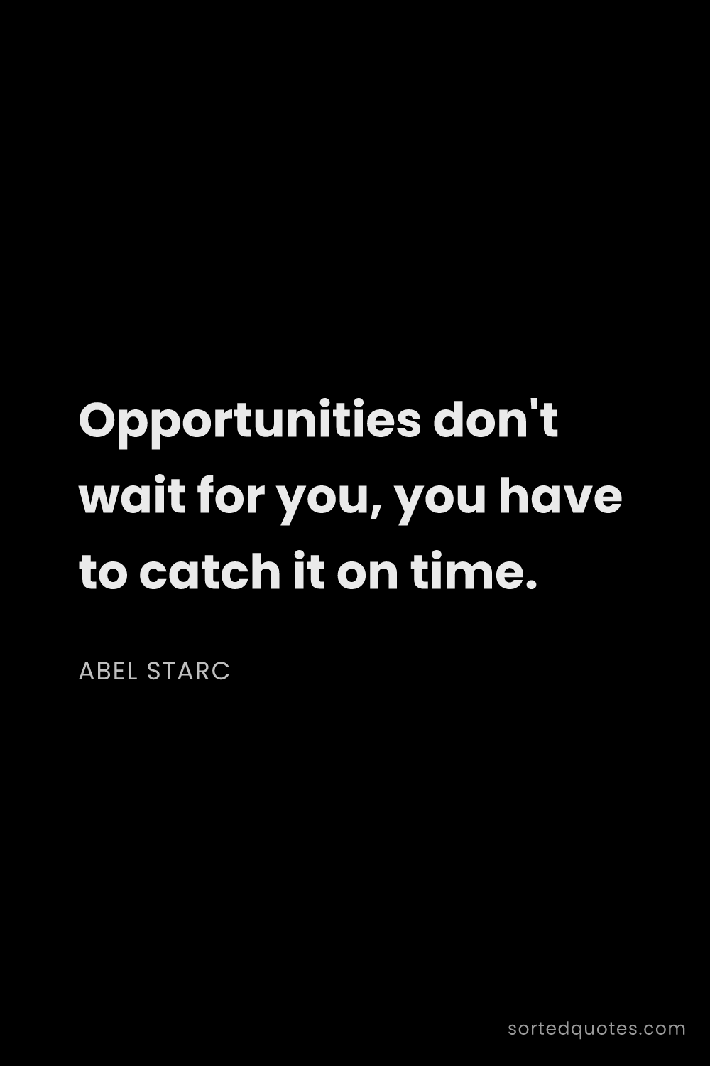 Quote by Abel Starc: "Opportunities don't wait for you, you have to catc..."