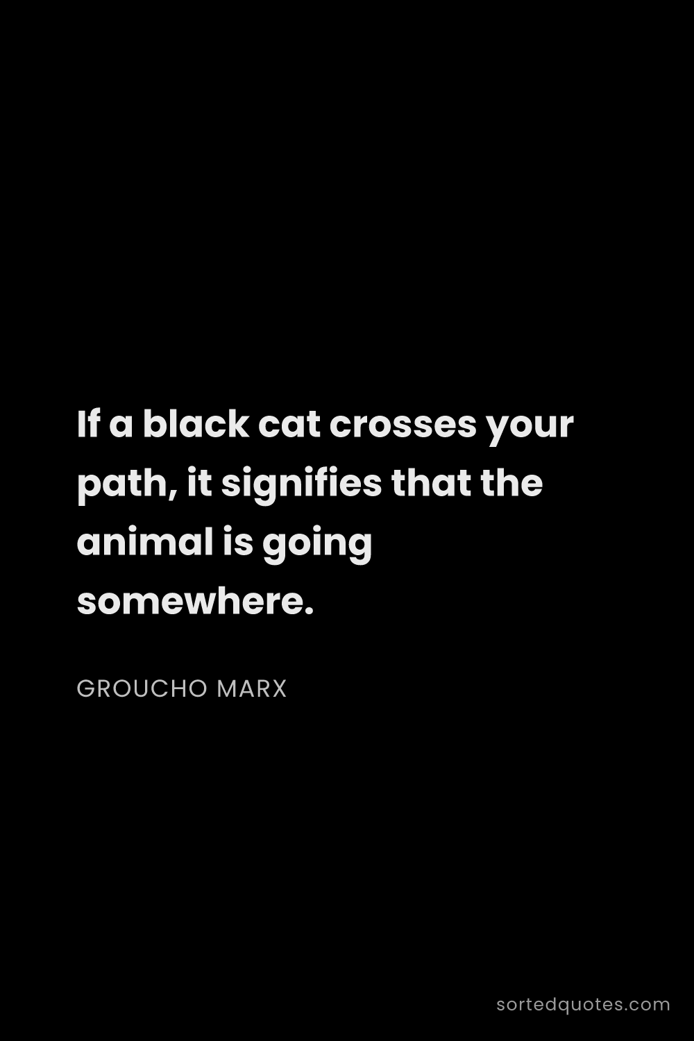 Quote by Groucho Marx: "If a black cat crosses your path, it signifies tha..."