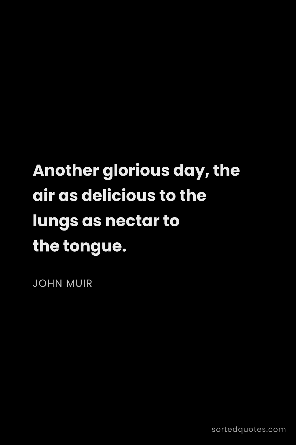 Quote by John Muir: "Another glorious day, the air as delicious to the ..."