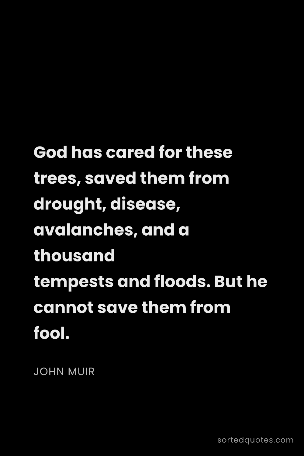 Quote by John Muir: "God has cared for these trees, saved them from dro..."