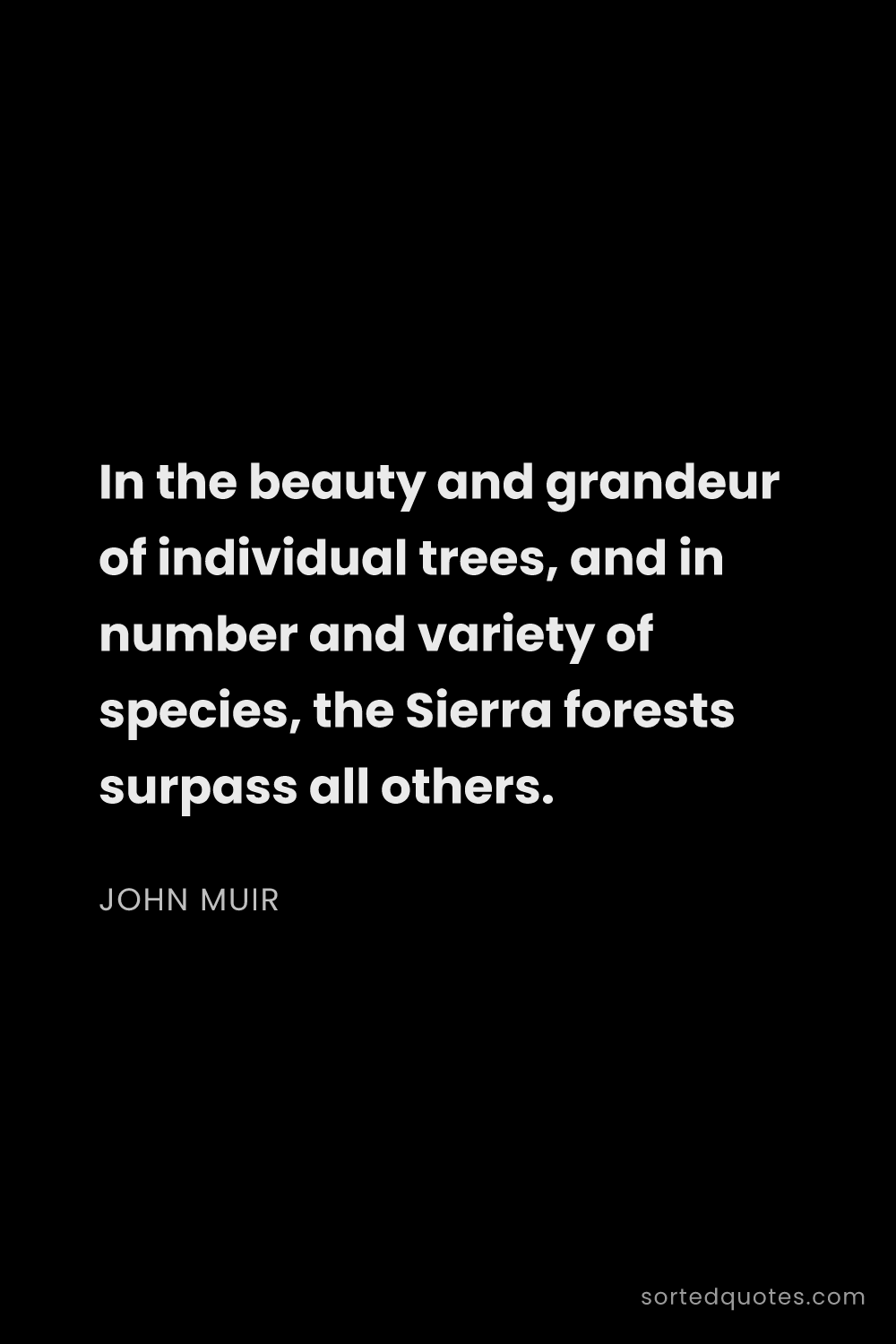 Quote by John Muir: "In the beauty and grandeur of individual trees, an..."