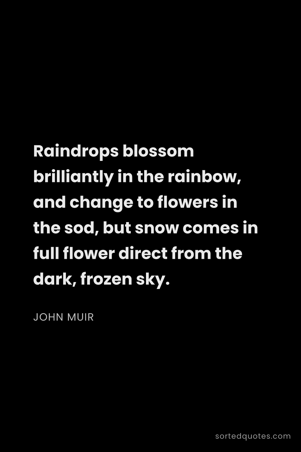 Quote by John Muir: "Raindrops blossom brilliantly in the rainbow, and ..."