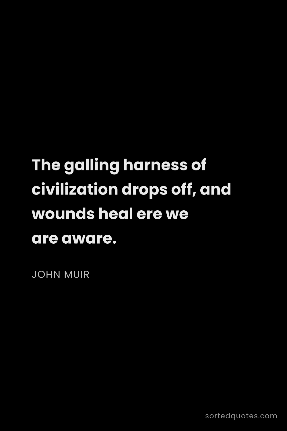 Quote by John Muir: "The galling harness of civilization drops off, and..."