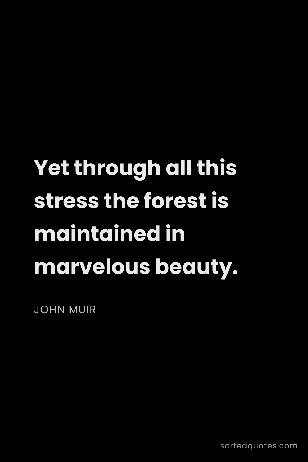 Quote by John Muir: "Yet through all this stress the forest is maintain..."