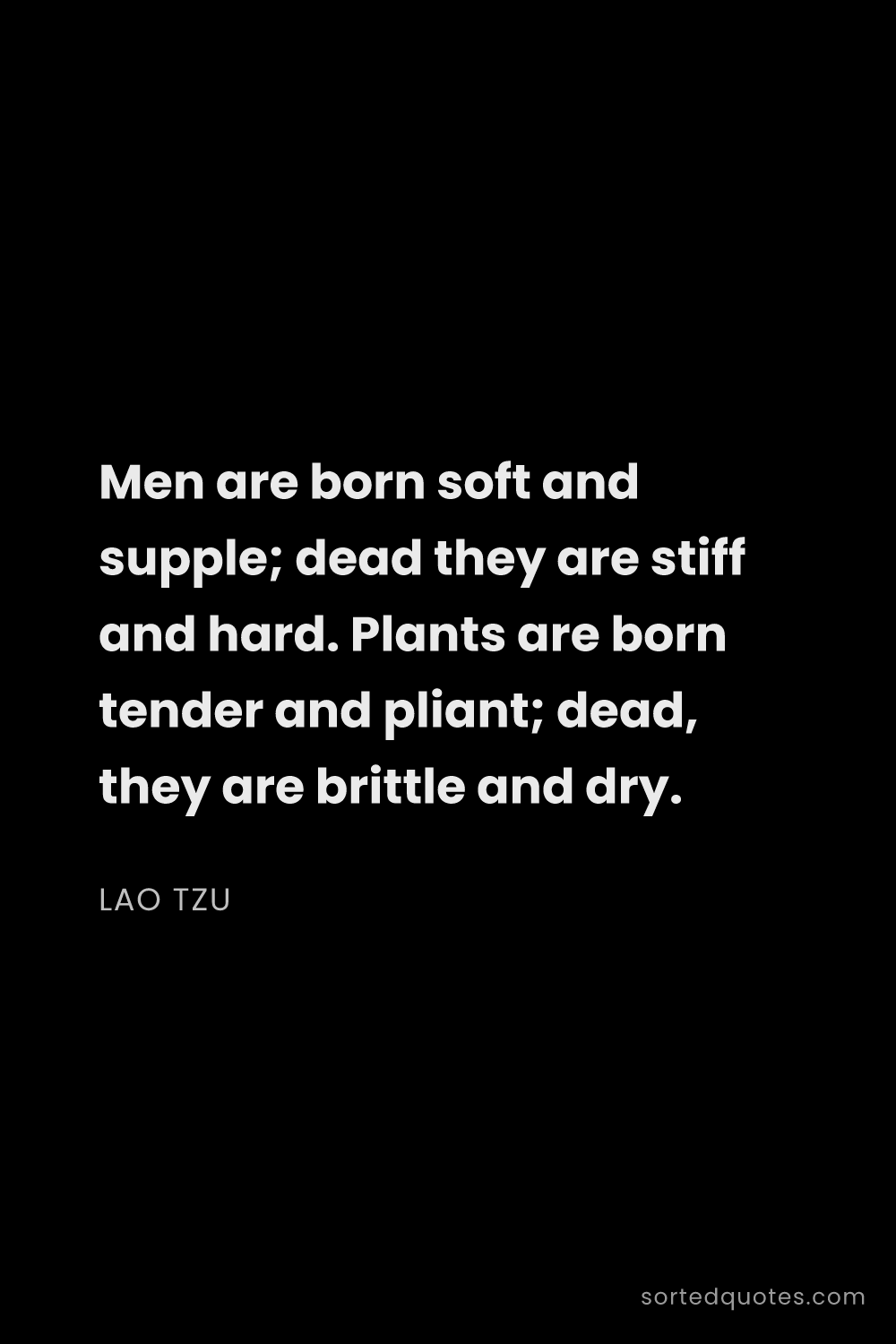 Quote by Lao Tzu: "Men are born soft and supple; dead they are stiff ..."