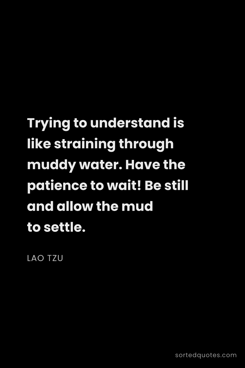 Quote by Lao Tzu: "Trying to understand is like straining through mud..."
