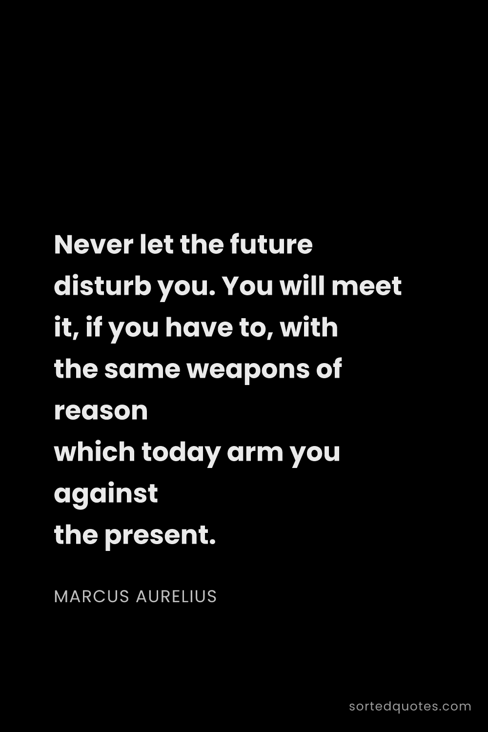 Quote by Marcus Aurelius: "Never let the future disturb you. You will meet it..."