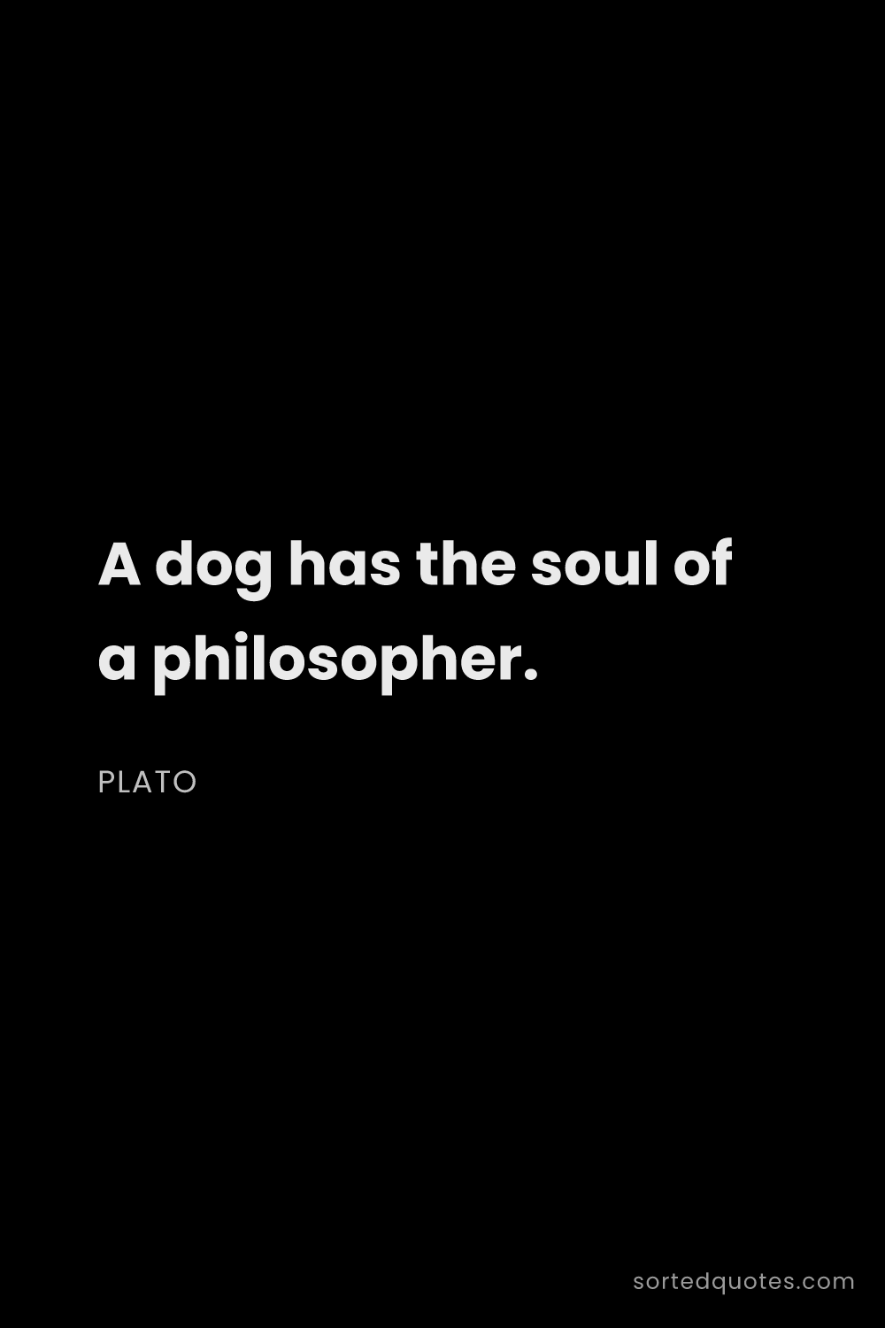 Quote by Plato: "A dog has the soul of a philosopher...."