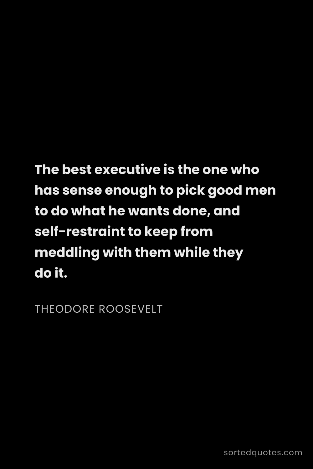 Quote by Theodore Roosevelt: "The best executive is the one who has sense enough..."