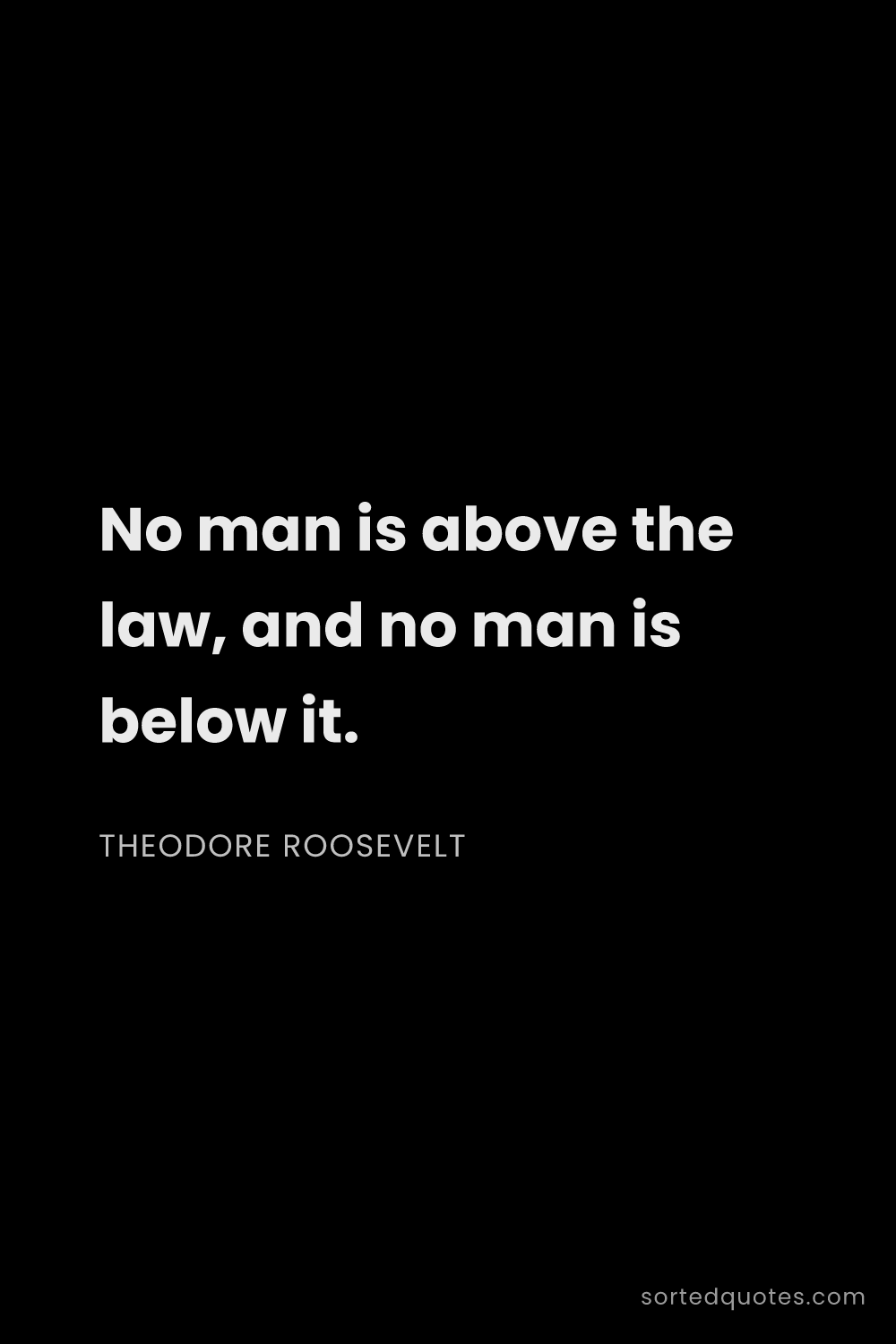 Quote by Theodore Roosevelt: "No man is above the law, and no man is below it...."