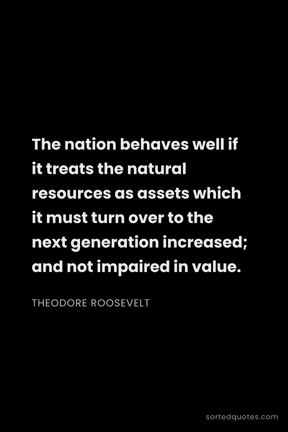 Quote by Theodore Roosevelt: "The nation behaves well if it treats the natural r..."