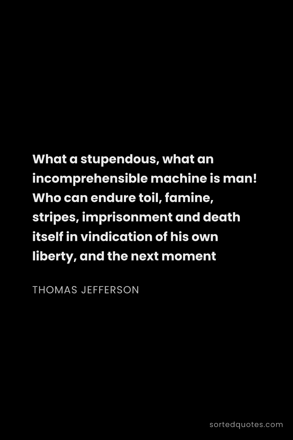 Quote by Thomas Jefferson: "What a stupendous, what an incomprehensible machin..."